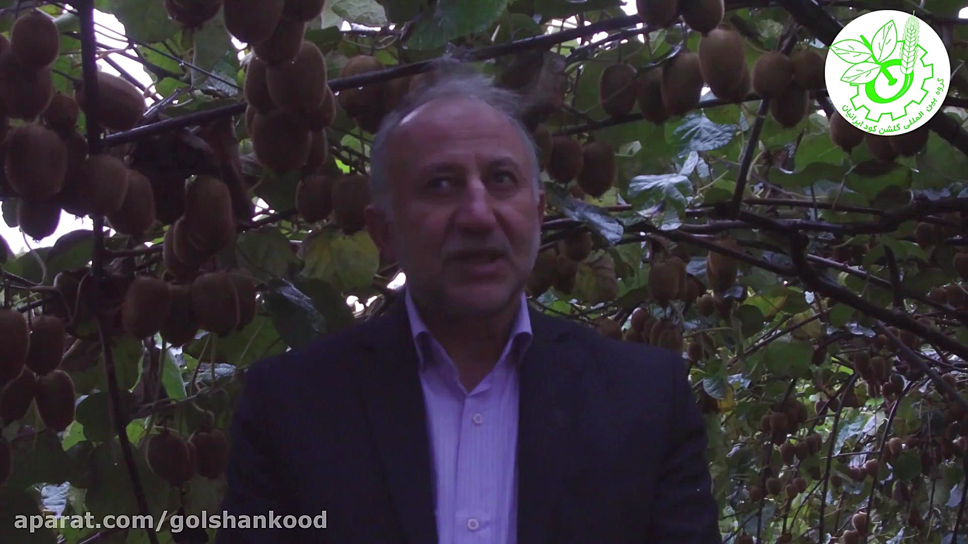 تاثیر مصرف گلشن کود ایرانیان د...