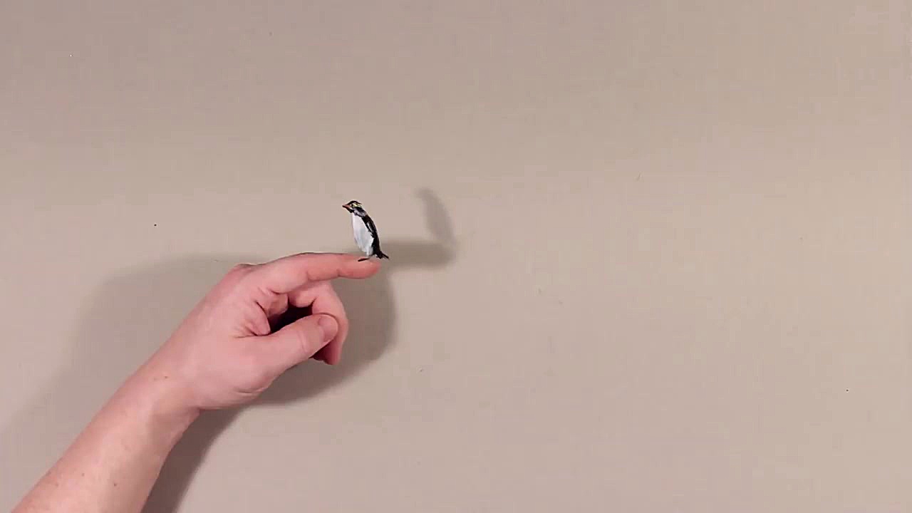 Penguin for Christmas AWESOME...