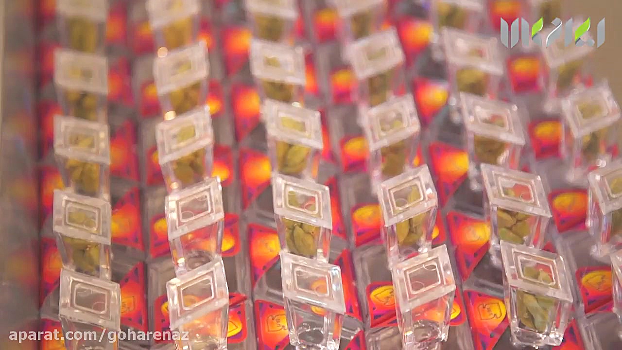 زعفران گوهرناز در شبکه ایران ک...