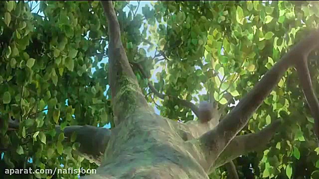انیمیشن پنگوئن ببری 2017 دوبله فارسی زمان5773ثانیه