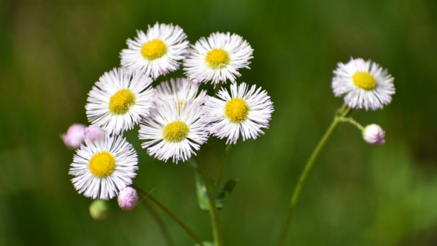 مقابله ای عالمانه و در خور با...