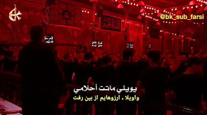 اوصیکم (شما را سفارش می کنم در...