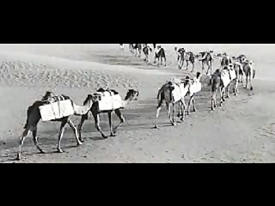 کوروس سرهنگ زاده: ای کاروان، ا...