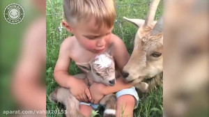 بامزه ترین حیوانات خانگی