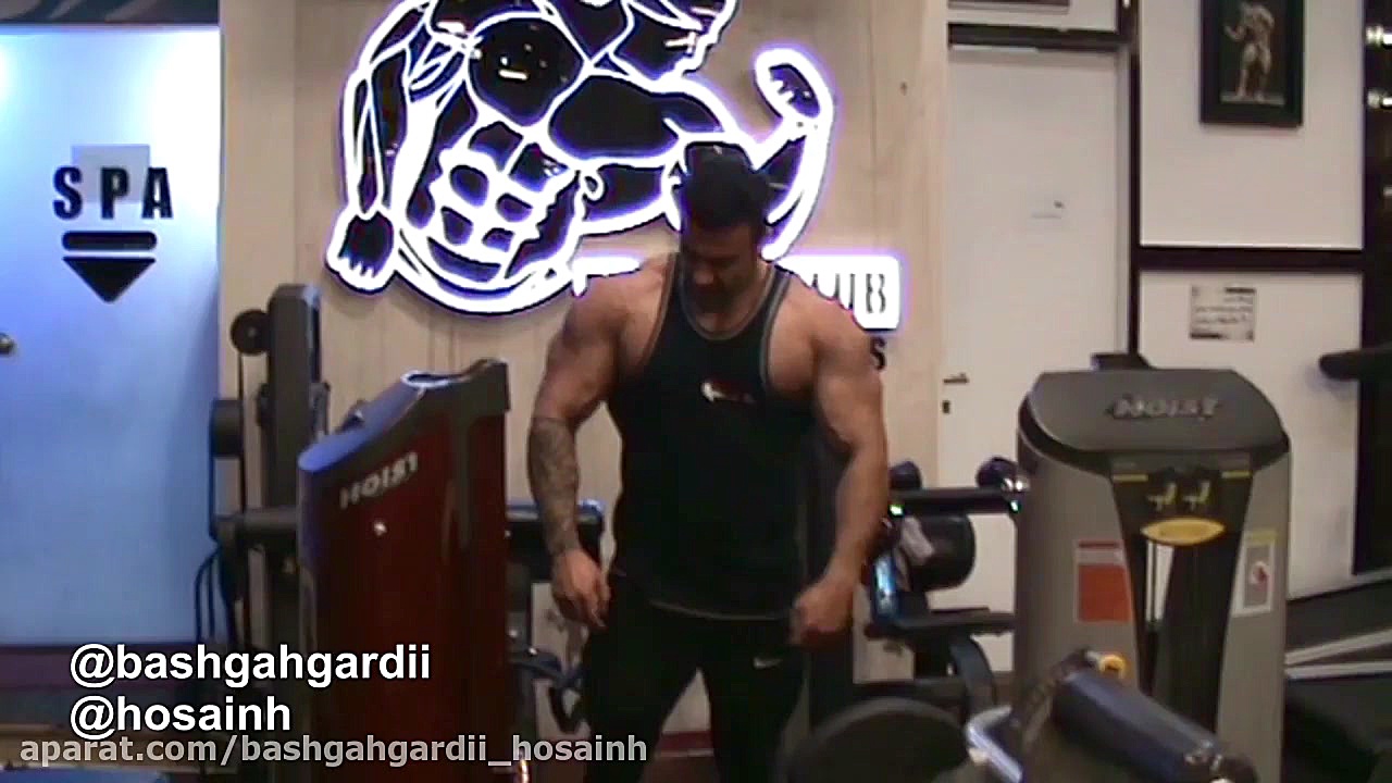 باشگاه گردی مرتضی محمودی