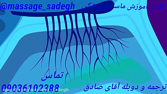 آروماتراپی آروما تراپی چیست