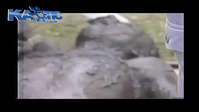 نجات یک نفر از توی کانال فاضلا...