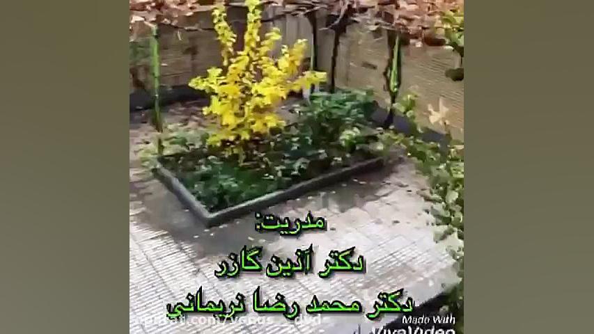 پانسیون مطالعاتی سالن مطالعه د...