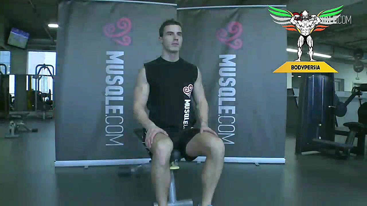 ساعد هالتر نشسته روی میز ( کف...