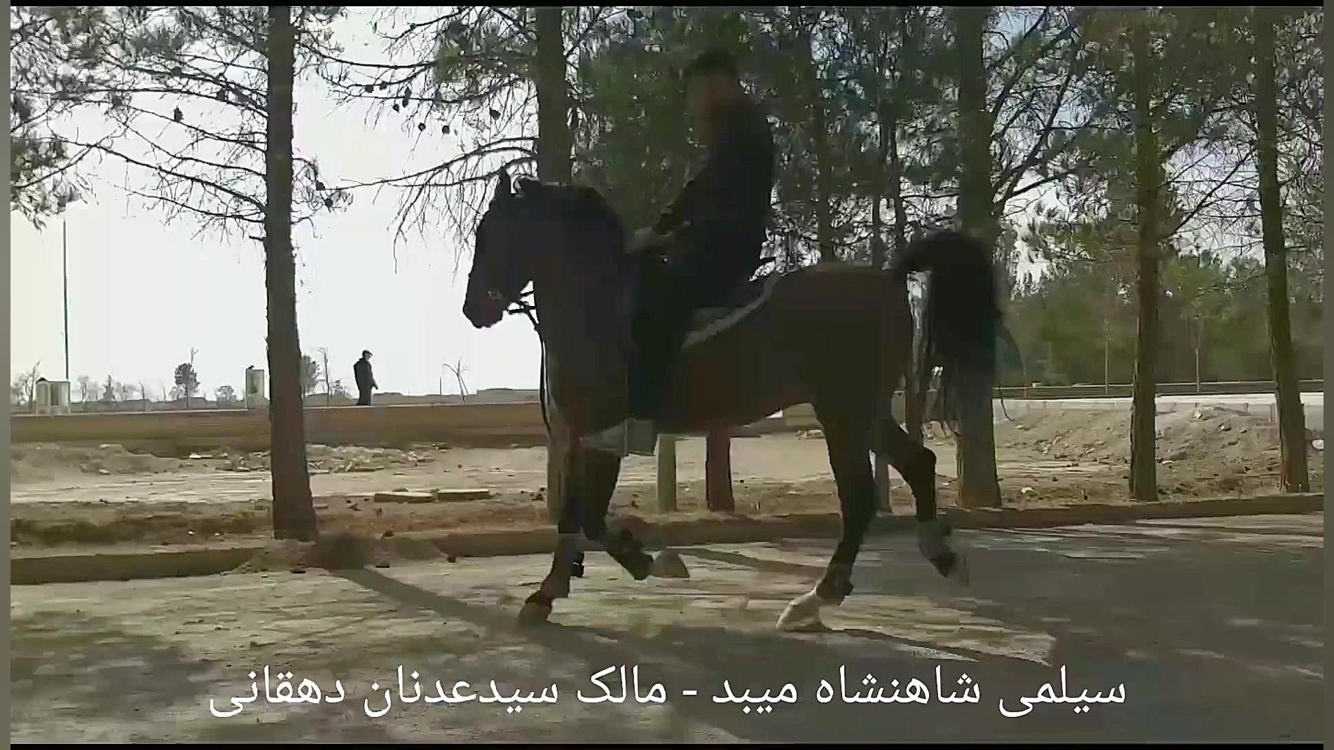 سیلمی شاهنشاه میبد . مالک سیدع...