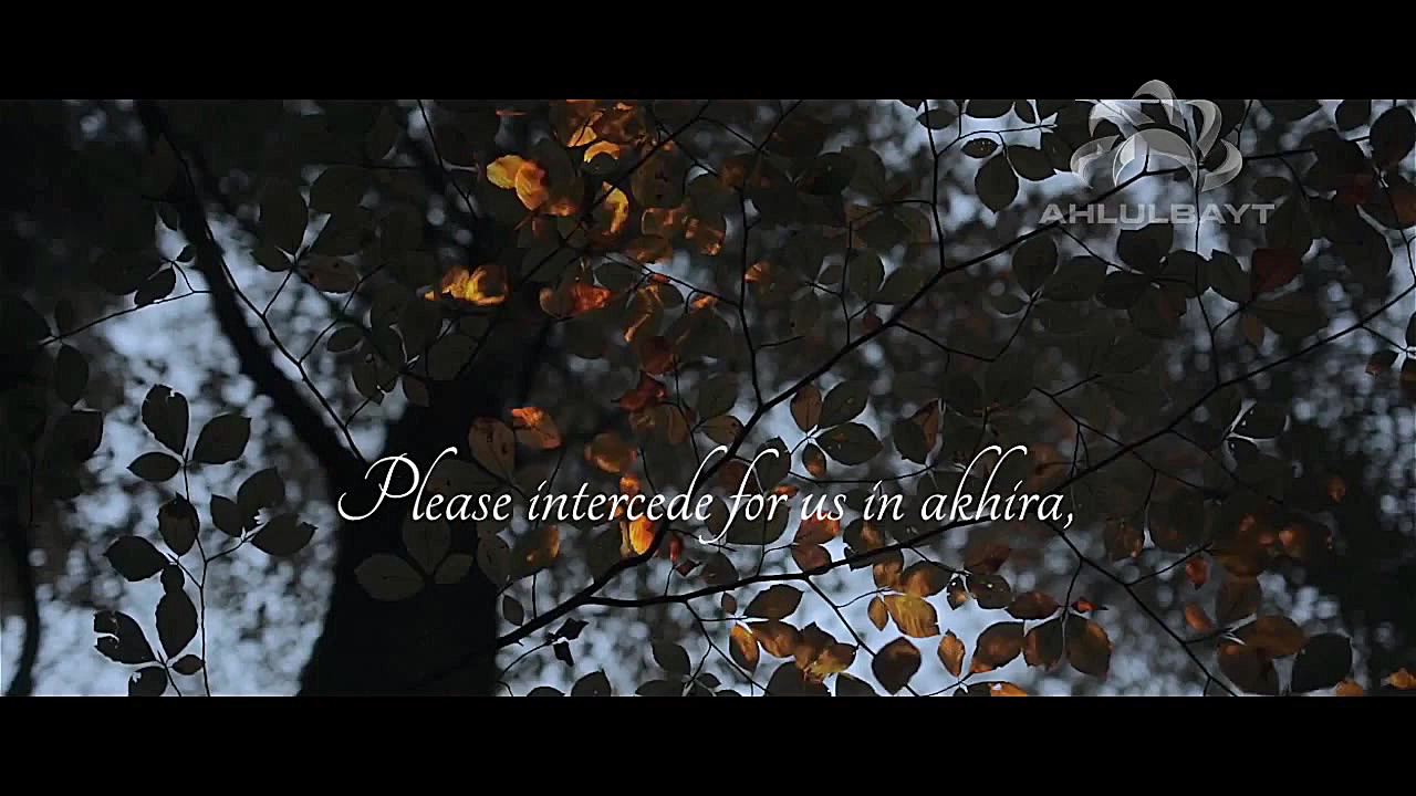 یا فاطمه | سید علی حکیم | Ya F...