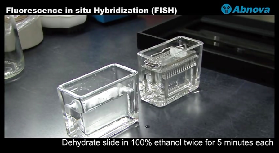 Ion PGM™ System Outperforms Competitor on Major Metrics for Benchtop ...