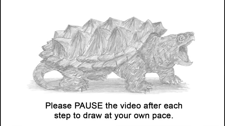 How to Draw an Alligator Snapping Turtle