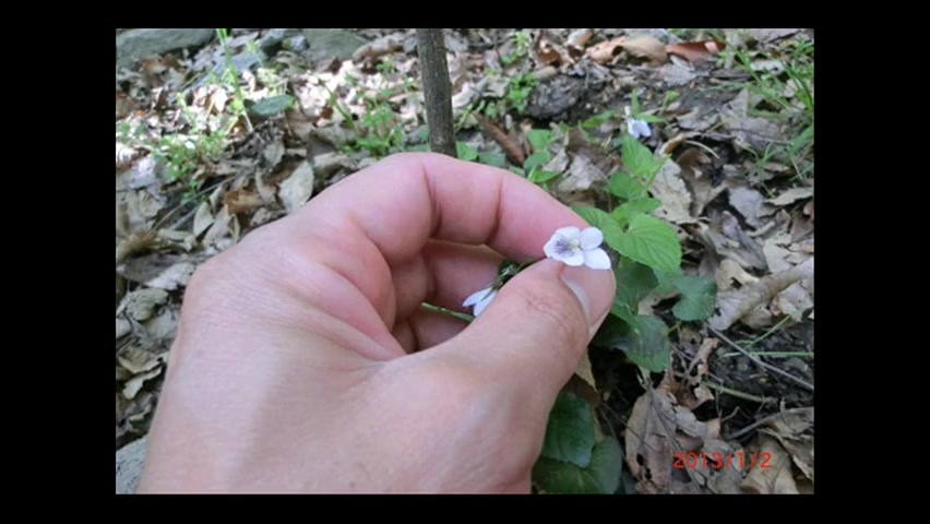 دیگه عاشق شدن فایده نداره