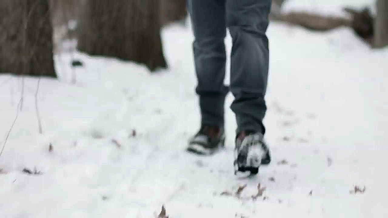 درب پشتی خلاقانه داج رم