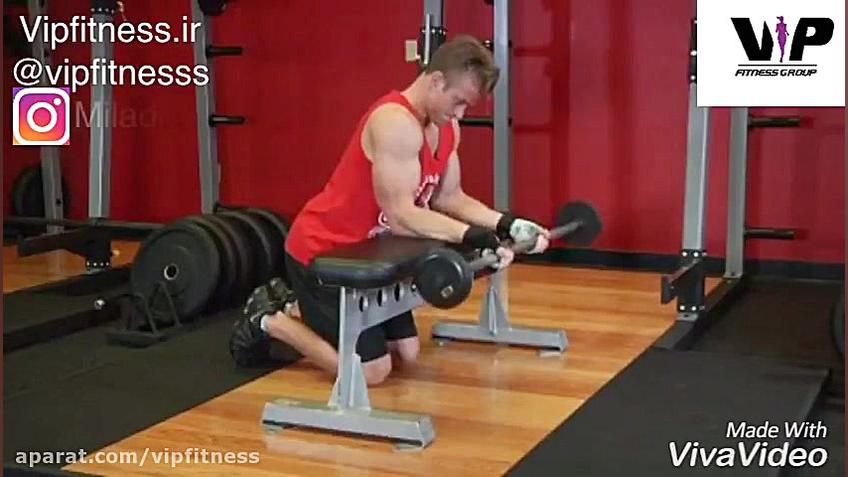 مچ با هالتر روی میز