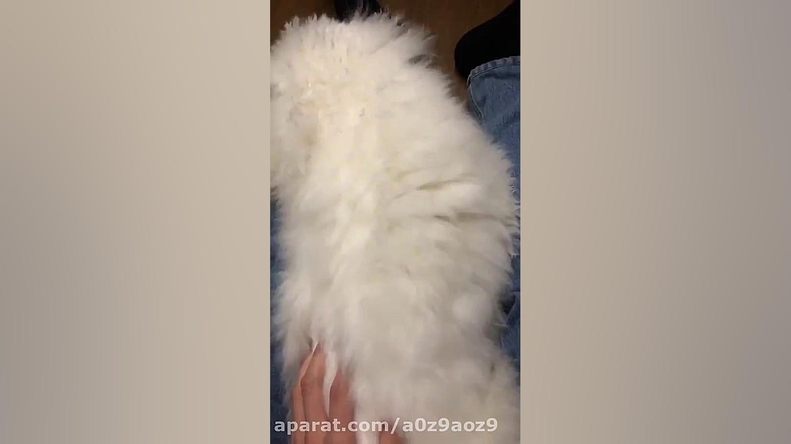 اکسو سهون و وی وی ❁ ❁ ☢.☢