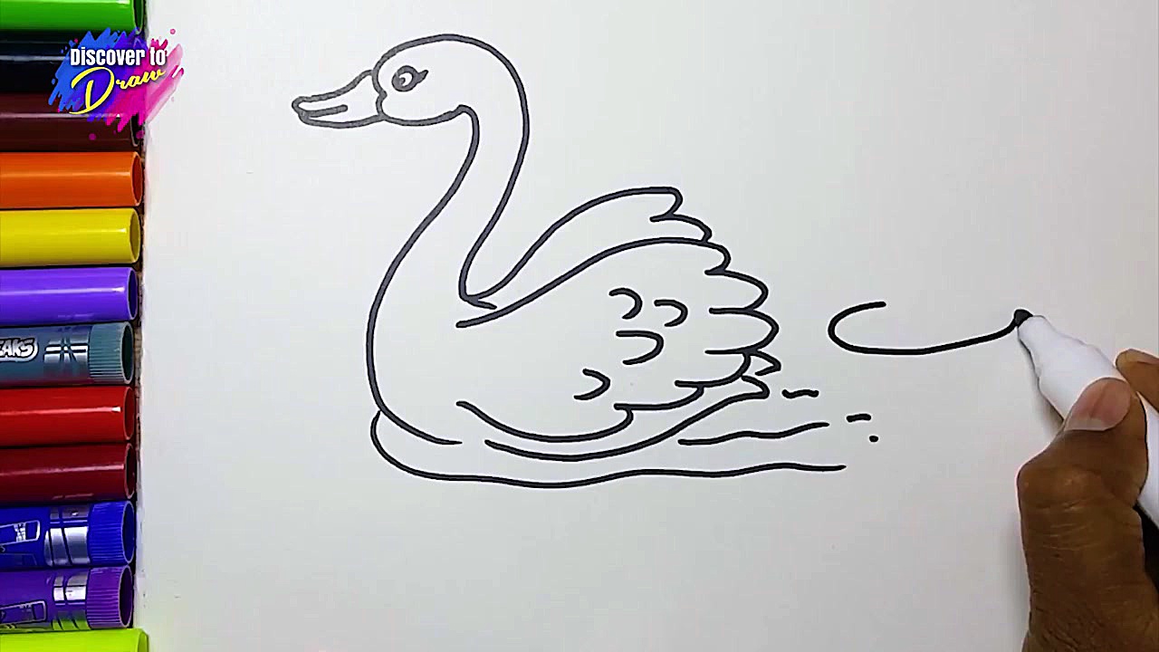 How to draw a Swan simple and...