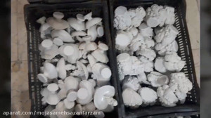 مجسمه فایبرگلاس | تولیدی مجسمه...