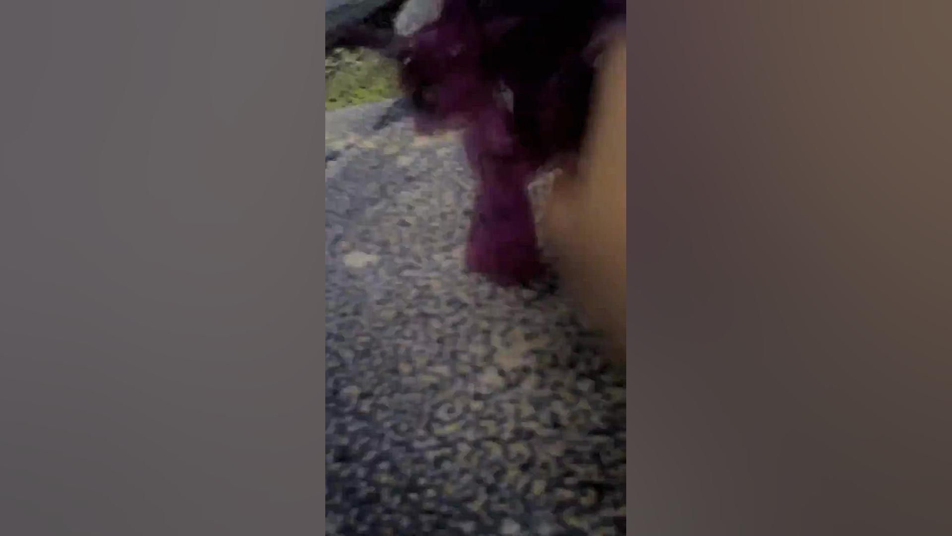 سریال رینبوفکتوری فصل دوم قسمت...