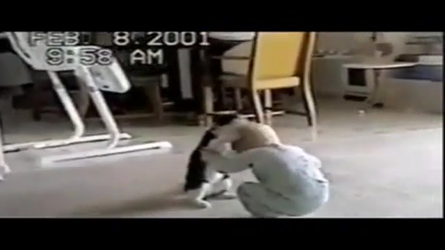 کشتیه رستم دستان با جهان پهلوا...