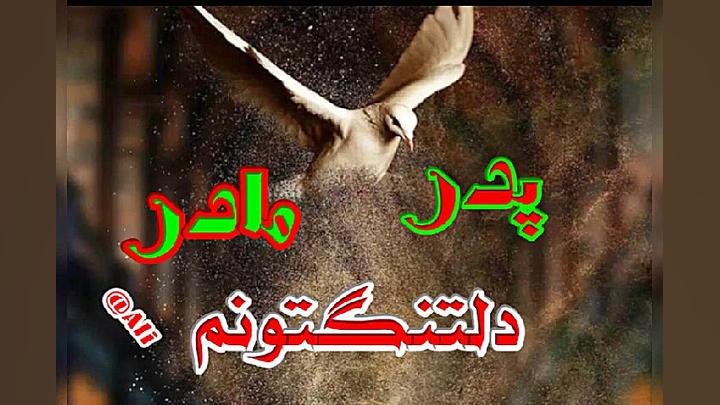 فایز به پدران و مادران همیشه ز...