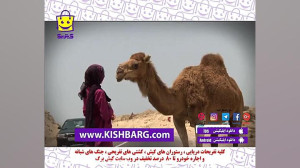قشم جزیره بکر و نادر در خلیج ف...