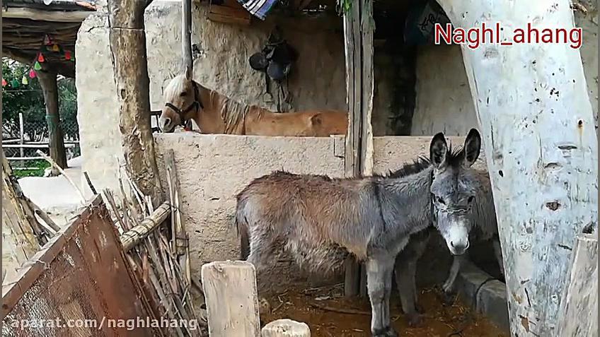 اقامتگاه بومگردی الیما