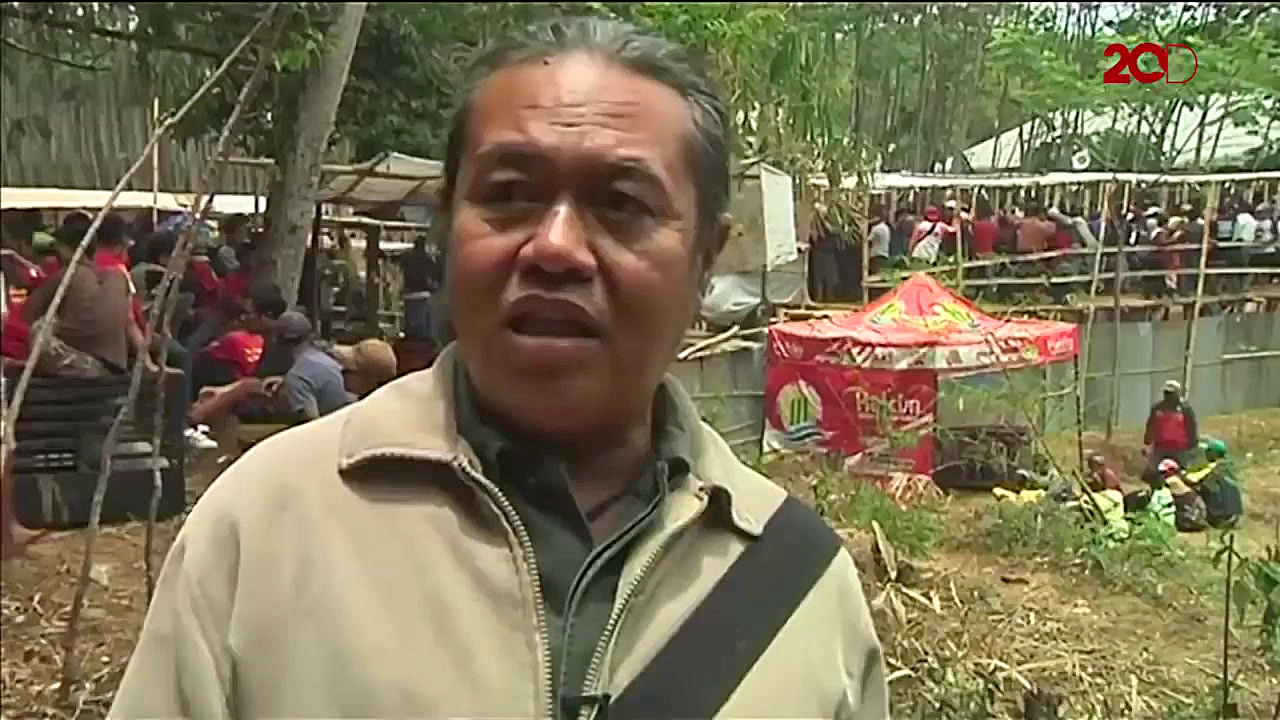 نبرد وحشیانه سگ وحشی با گراز