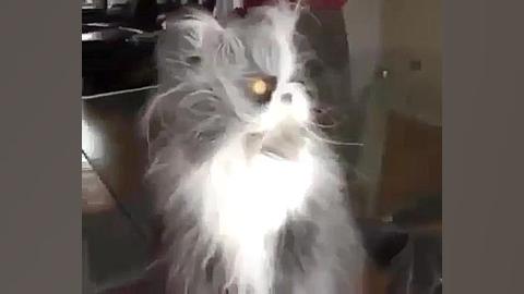 وقتی خوابی خونتون مهمون میاد