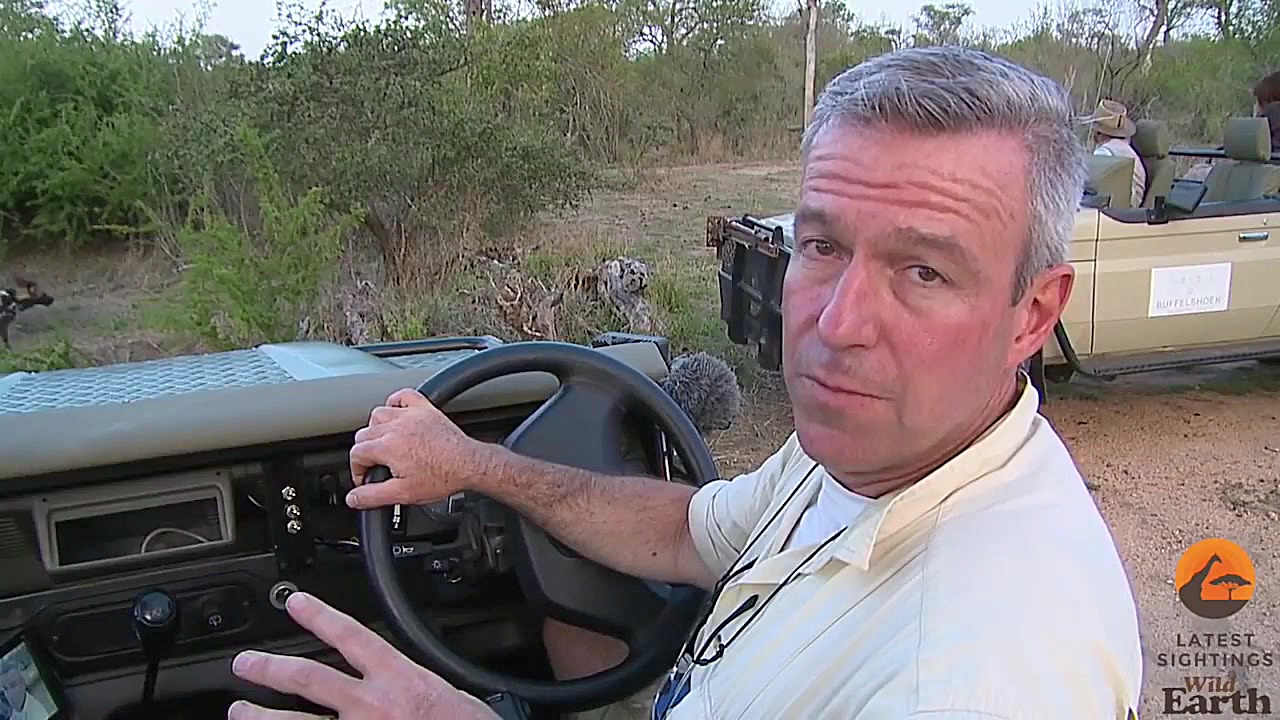 شکار و کشتن بز کوهی آبستن توسط...