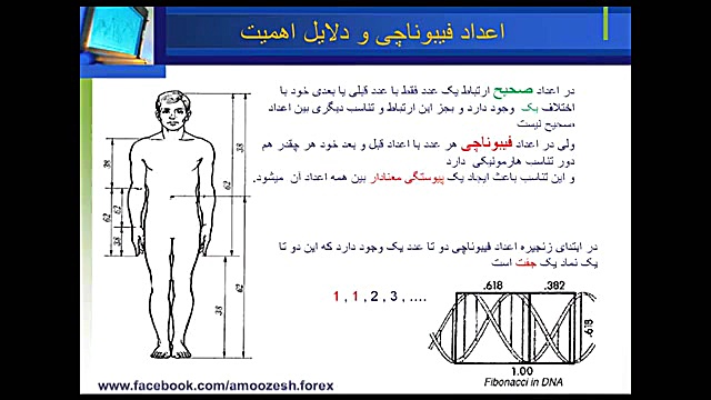 آموزش فارکس اصلاحات فیبوناچی