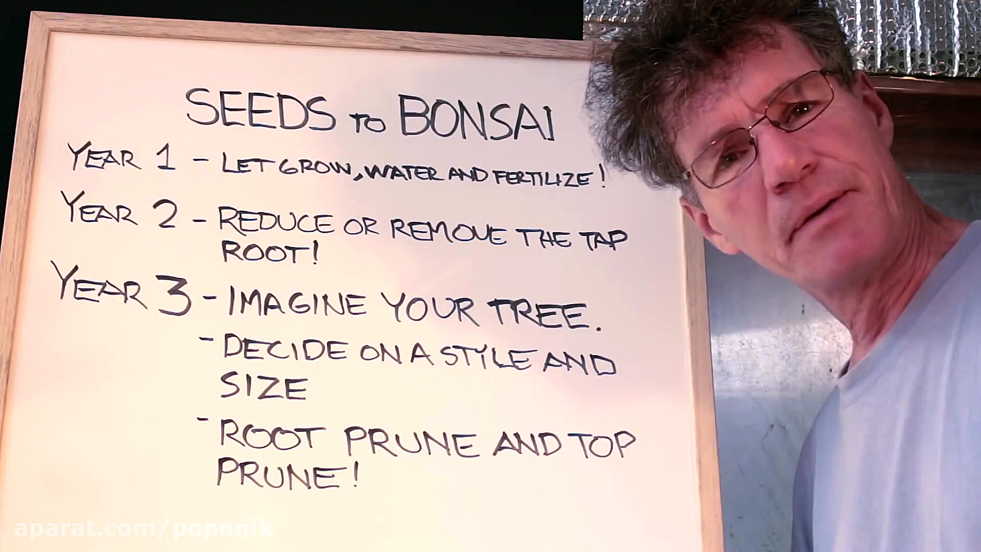 آموزش درست کردن بنسای قسمت سوم...