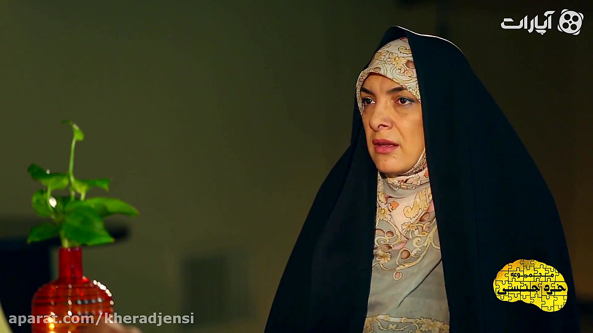 خرد جنسی14 دکتر عفت السادات خو...