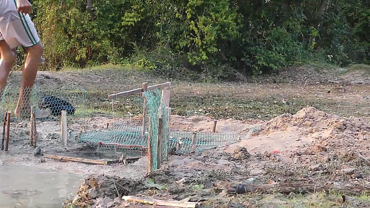 تله ساده و جالب برای شکار تمسا...