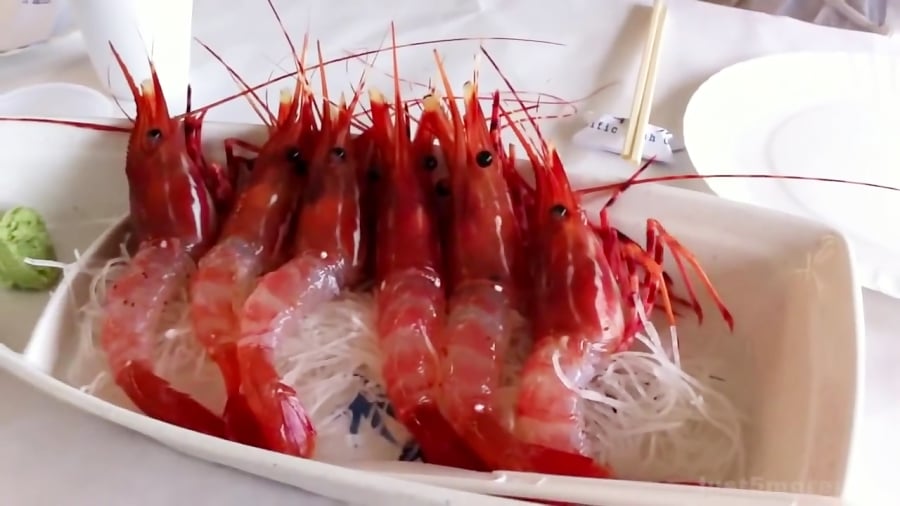 هشدار  زنده خواری : خوردن حیوا...