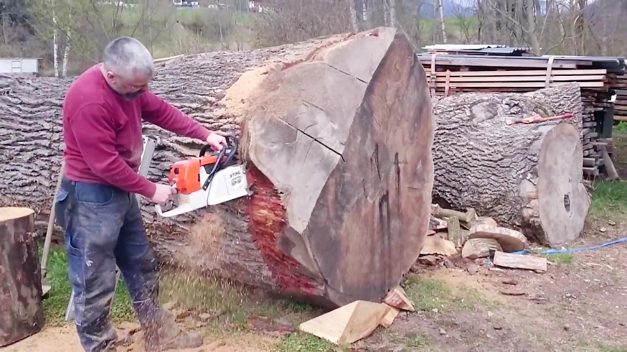 Stihl ms 880 150cm vs big oak log