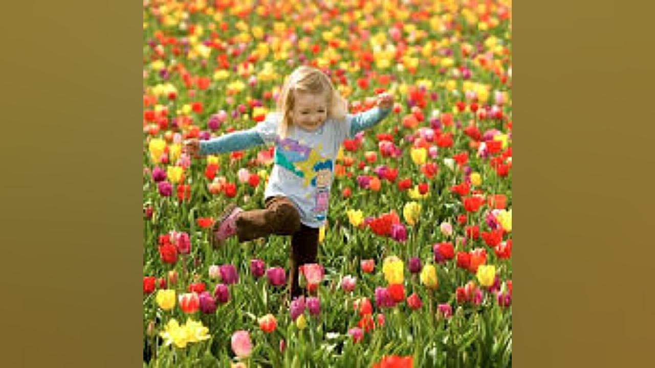 ♫ آهنگ شاد بسیار زیبا لری  بار...