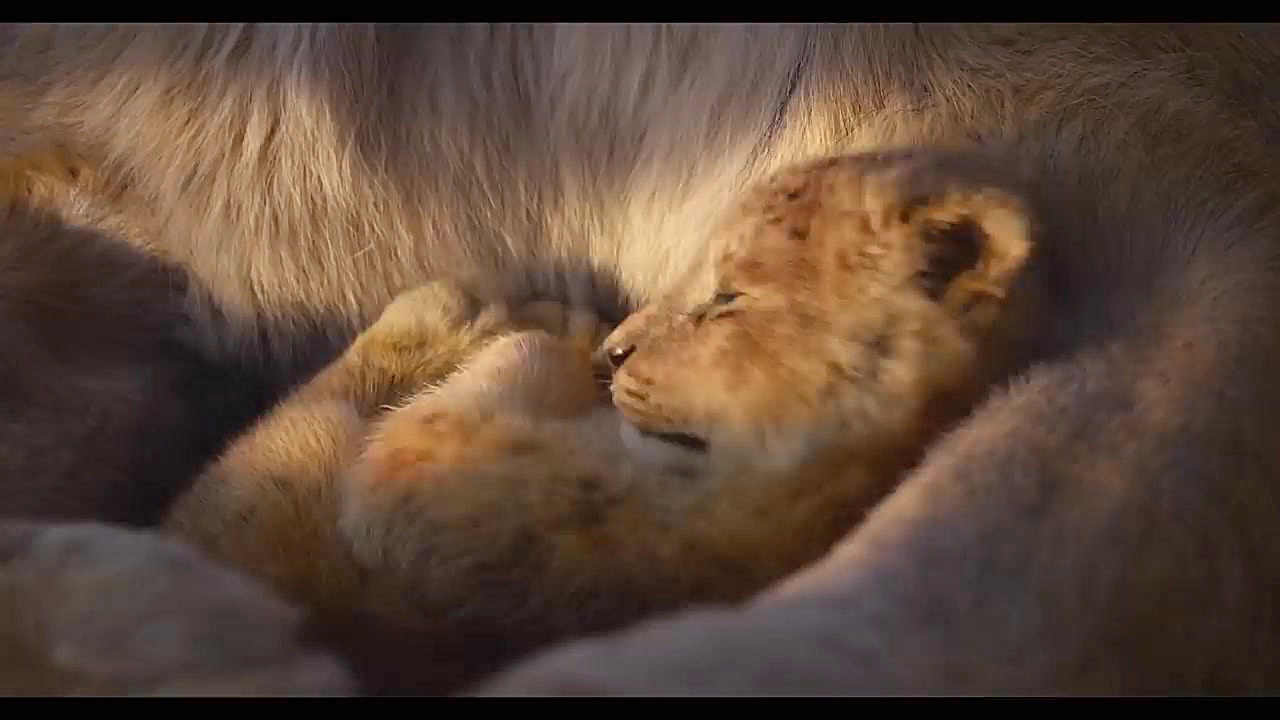 تیزر تلویزیونی فیلم سینمایی شی...