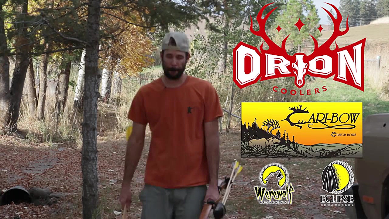 آموزش مهارت تیر کمان برای مبتد...