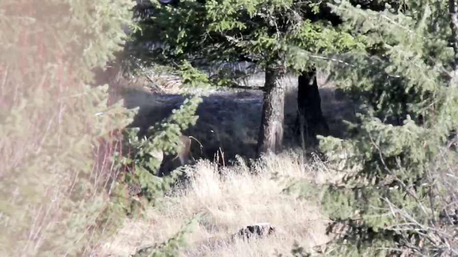 آموزش مهارت تیر کمان برای مبتد...
