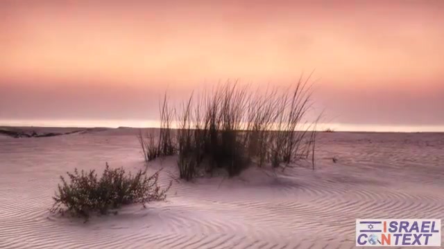 Big Lie, Israel and peace