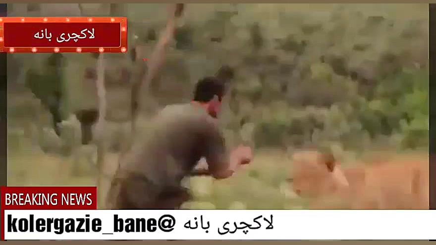 دوستی عجیب حیوانات با انسان ها