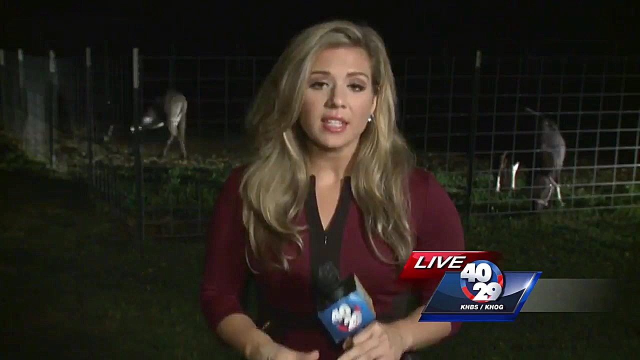 الاغ در آمریکا|تجاوز جنسی به ا...