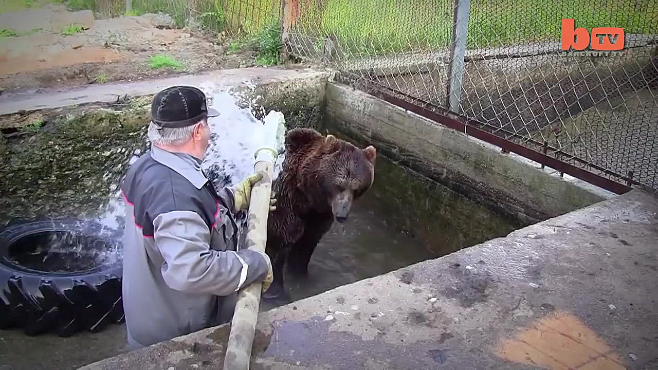 دوستی انسان و خرس | مرد خرسی ق...