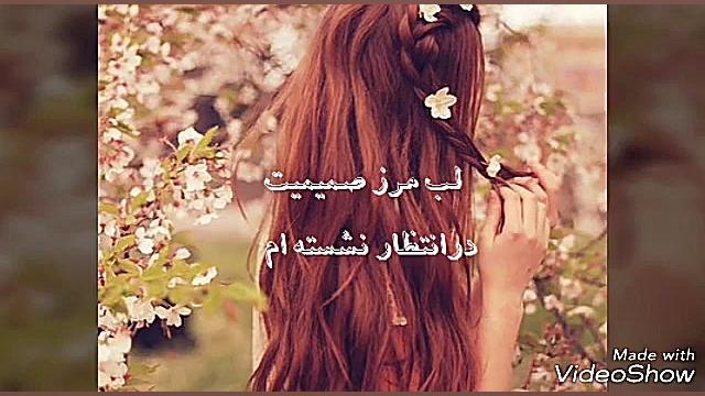 همسفر بهار می شوم، شیدا حبیبی،...