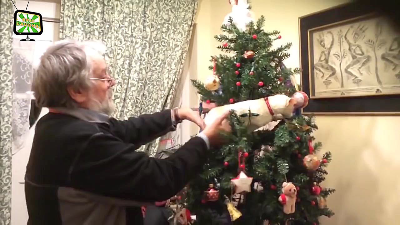 Cats Vs. Christmas Tree Funny...