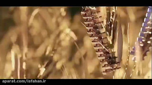 به خودمان برمى گردد