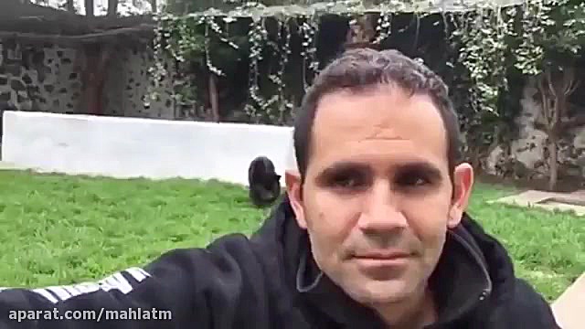 دوستی عجیب این مرد با جگوار