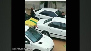 از طوفان خلیج فارس تا سیل شیرا...